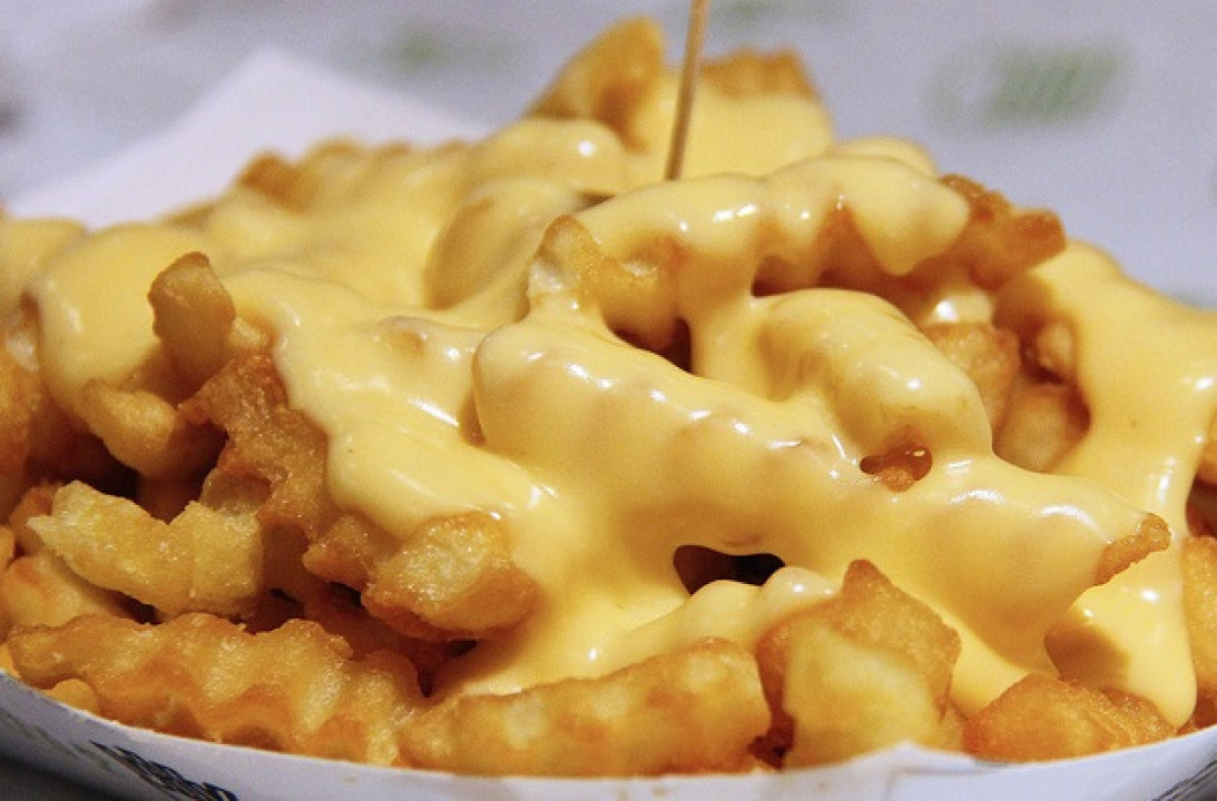 Kids Cheese French Fries